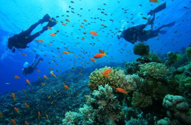 大陆免签国家2019,中国对哪些国家单方面免签