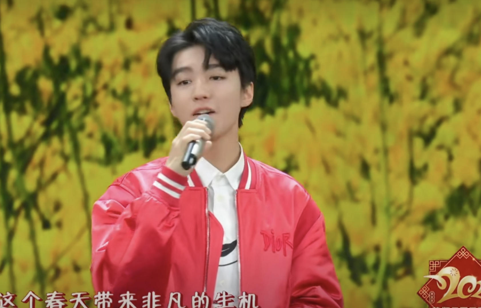 王一博谢娜张小斐,2019元宵晚会湖南卫视张小斐