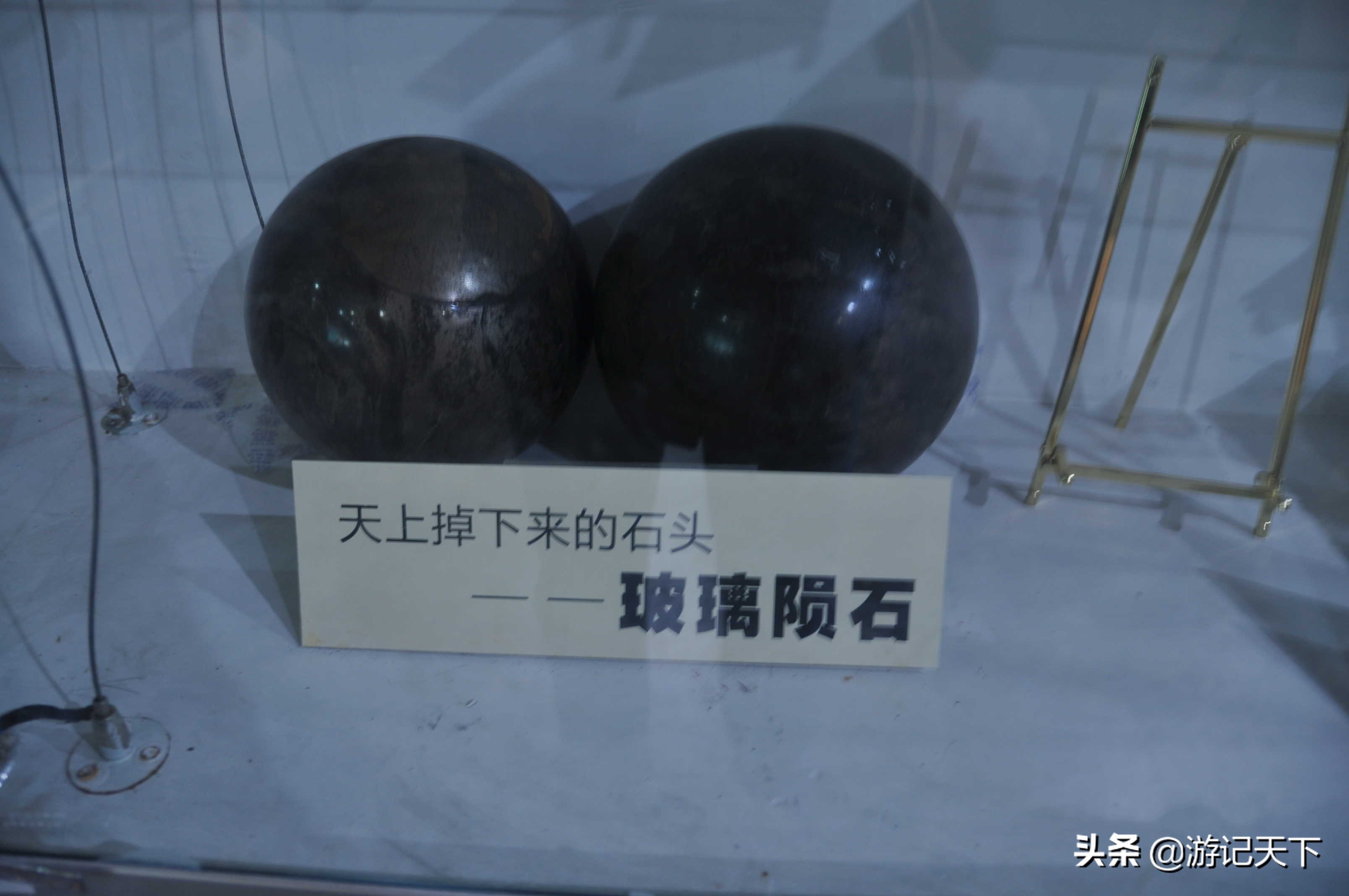 阿尼亚参观博物馆,上海地质科普馆游玩