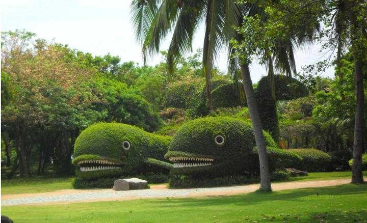 园艺值得学吗,园艺专业与风景园林哪个好