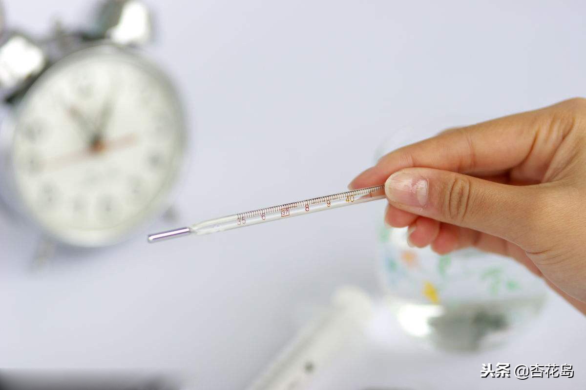 女性排卵期如何检测,女性排卵期怎么测试