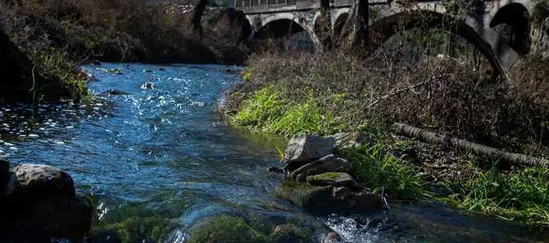 扶贫人物故事——谷城县：郭峪村里的养蜂人