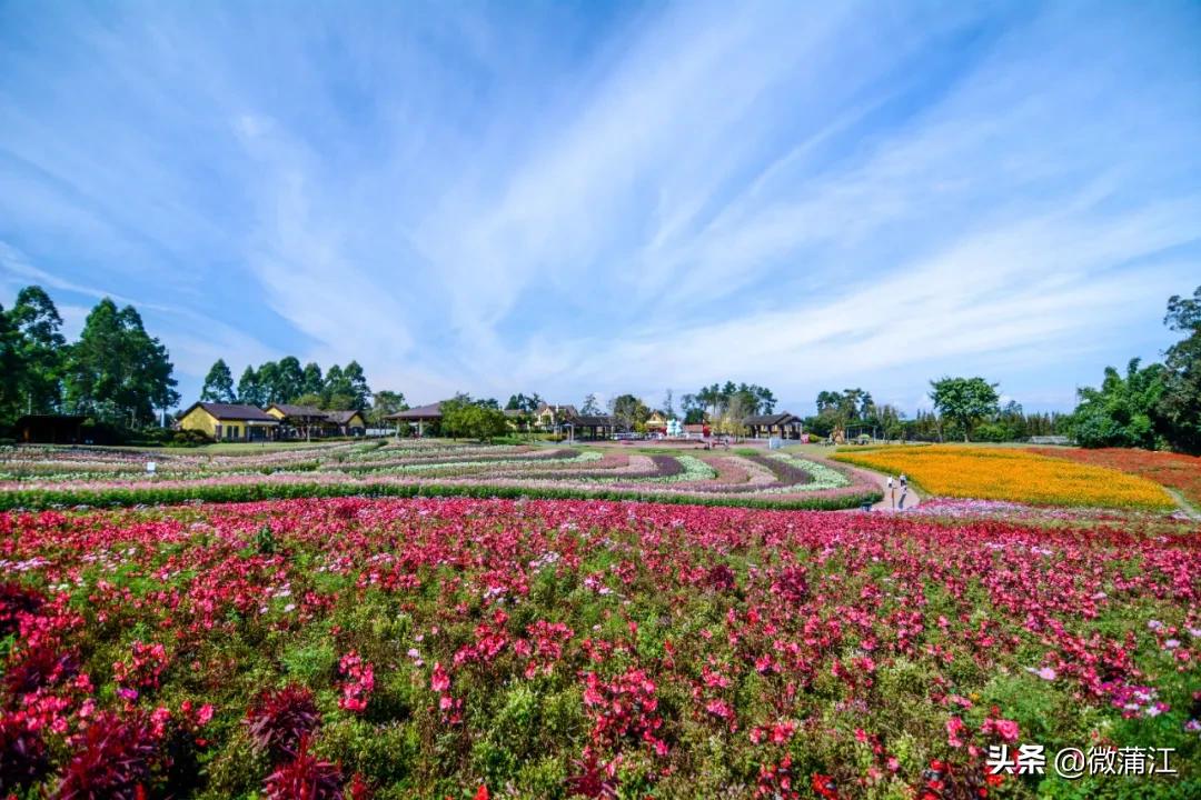 石象湖优惠,石象湖景区3月8号门票优惠吗