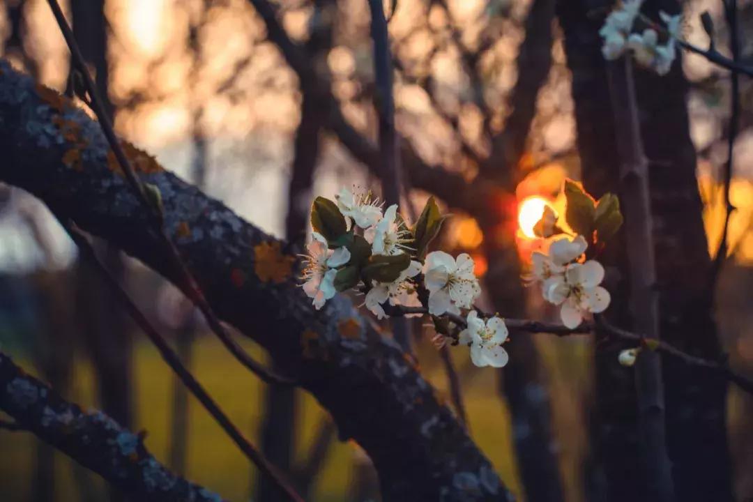请问你对七情六欲怎么理解的,给我解释一下什么叫七情六欲
