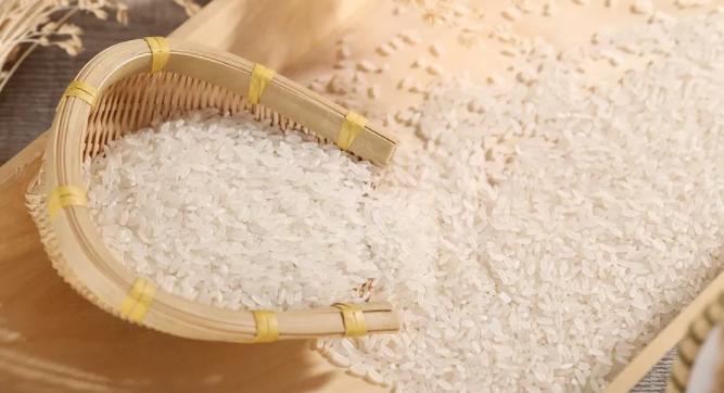 淘米水浇花招虫子吗,淘米水浇花会臭吗