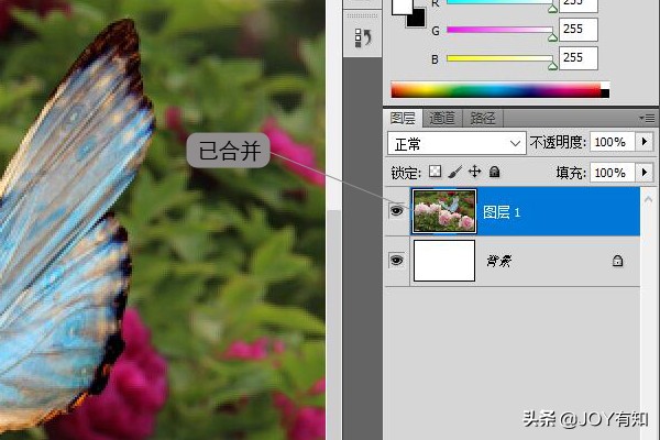 ps基础教程新手入门如何合并图层,ps图层向下合并和图层合并的区别