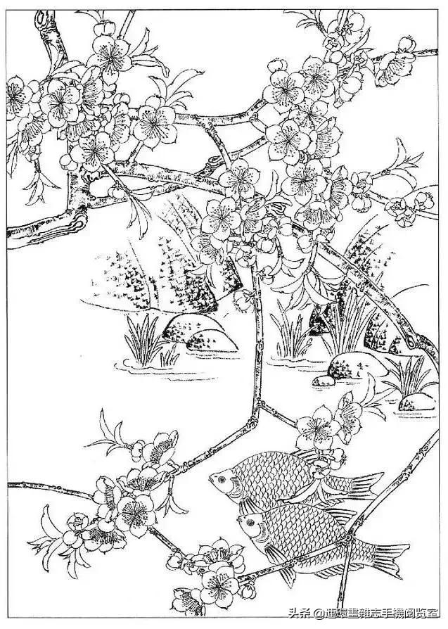 古诗十九首全文及注释,古诗十九首原文及译文