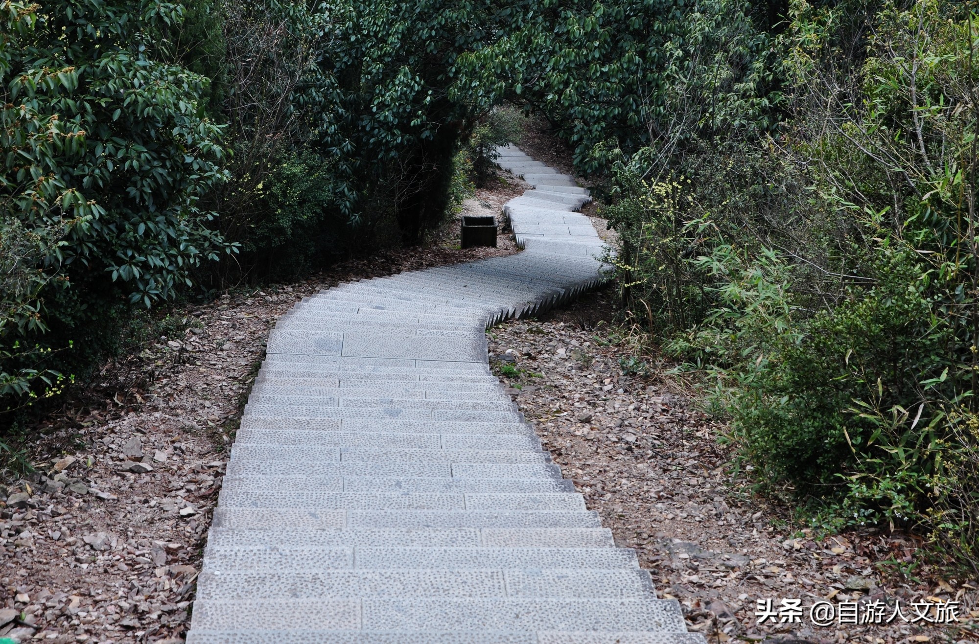 环西湖群山徒步毅行,行走西湖古诗词