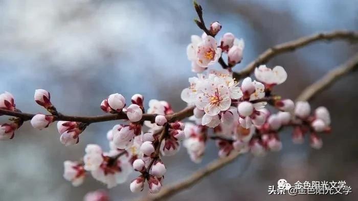 老师送了本书给我我该怎么感谢,老师送了我一本书