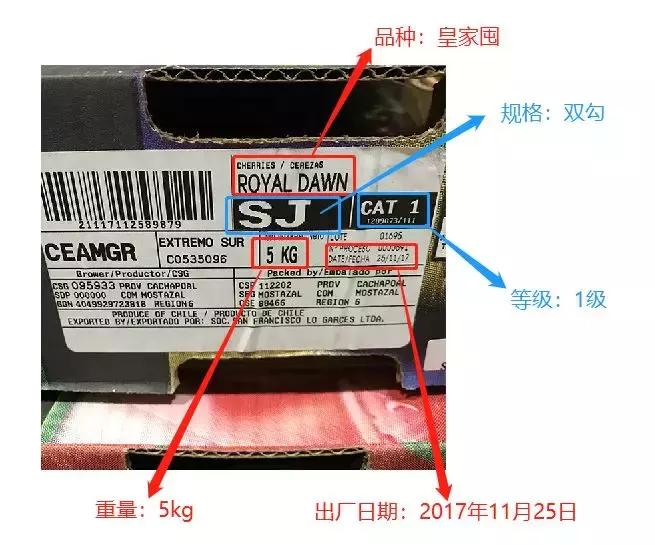 车厘子必备常识,这个季节的车厘子怎么管理