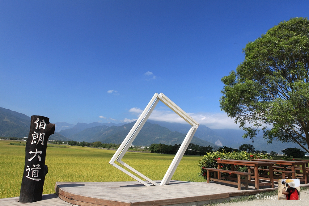 花东纵谷面积,花东纵谷什么意思