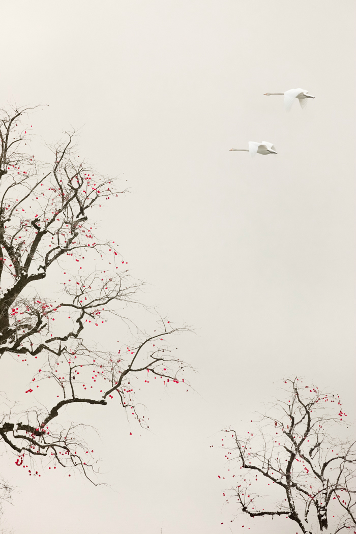 生态摄影师相机,生态摄影著名摄影家