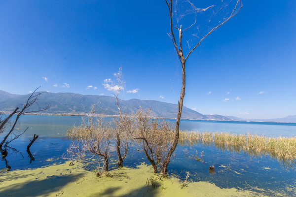 洱海最美的半岛,看洱海最好的风景地方在哪里