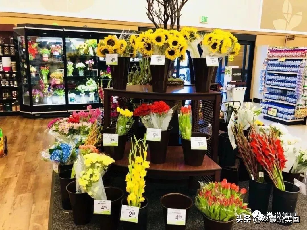 翠霞带你看看美国不同种类的超市