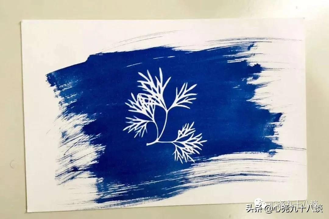 蓝晒，数码时代依旧可用的古老显影技术