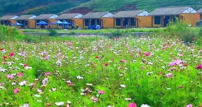 陇南市云上金马池,卧云铺清凉避暑好去处