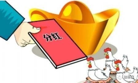 支付宝全民保养老金如何取出来,支付宝的全民保养老金可以退吗