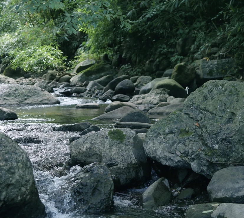 成都露营遛娃抓蝌蚪,成都周边避暑遛娃