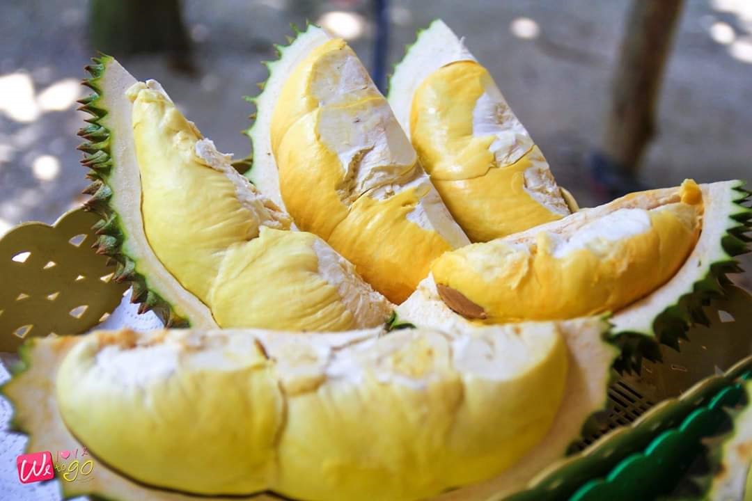 榴莲品种d13,泰国榴莲d197是什么品种