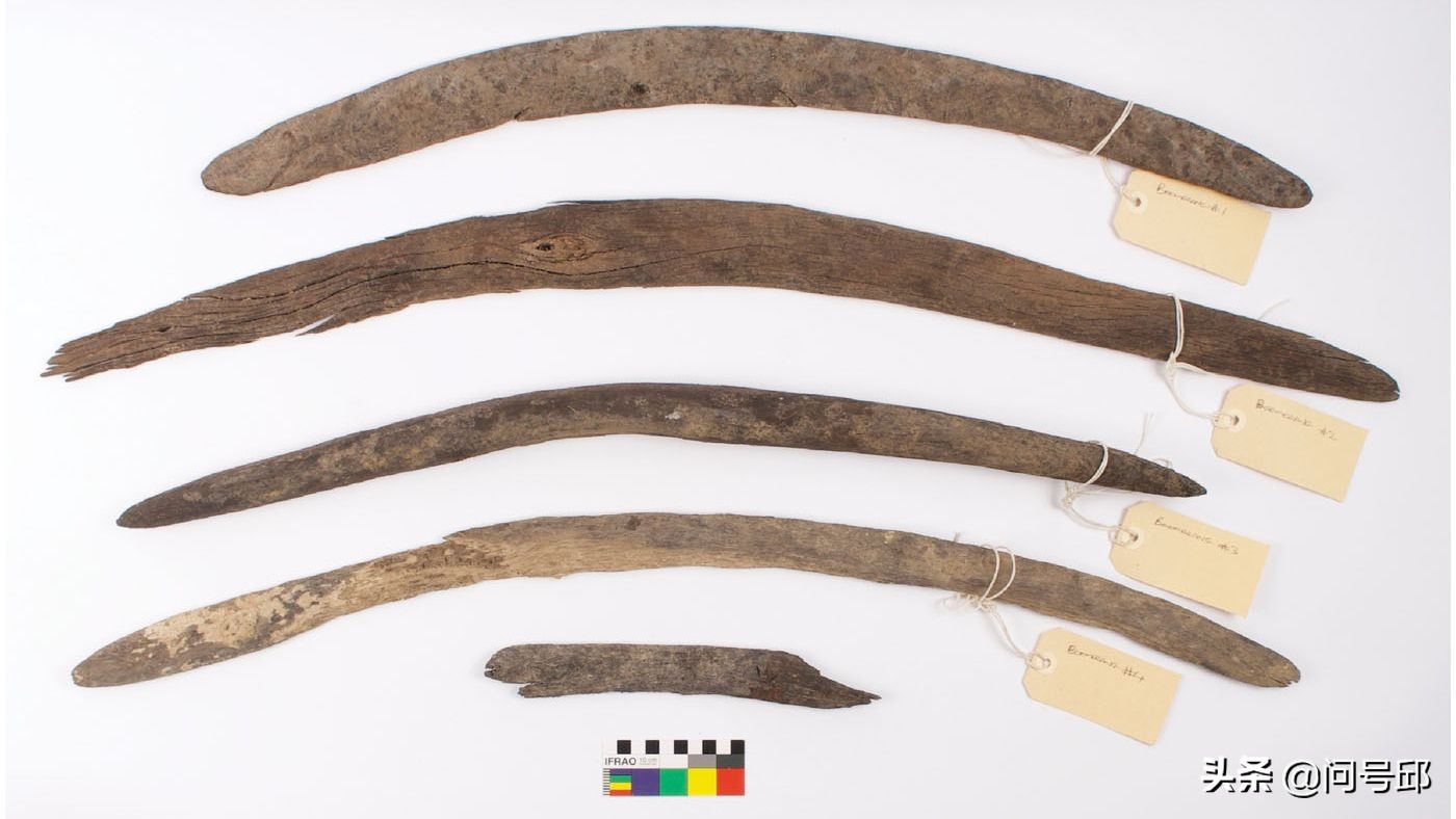 在南澳大利亚干涸的河床上，发现了5只不会返回的土著人的回力镖