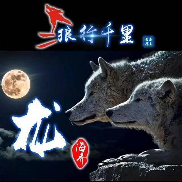 狼励志微信头像,狼的微信头像励志