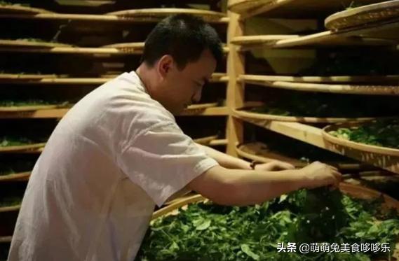 上饍·御上茗|清风不请，自然徐来，谷雨茶时，春意葱茏