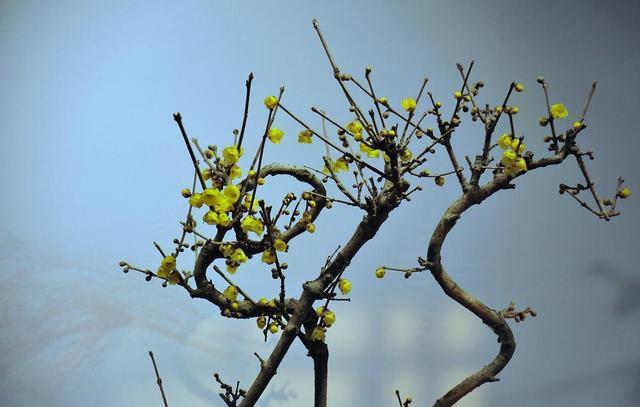 真正厉害的人遇到大事件,总是与人发生冲突该如何静下心来