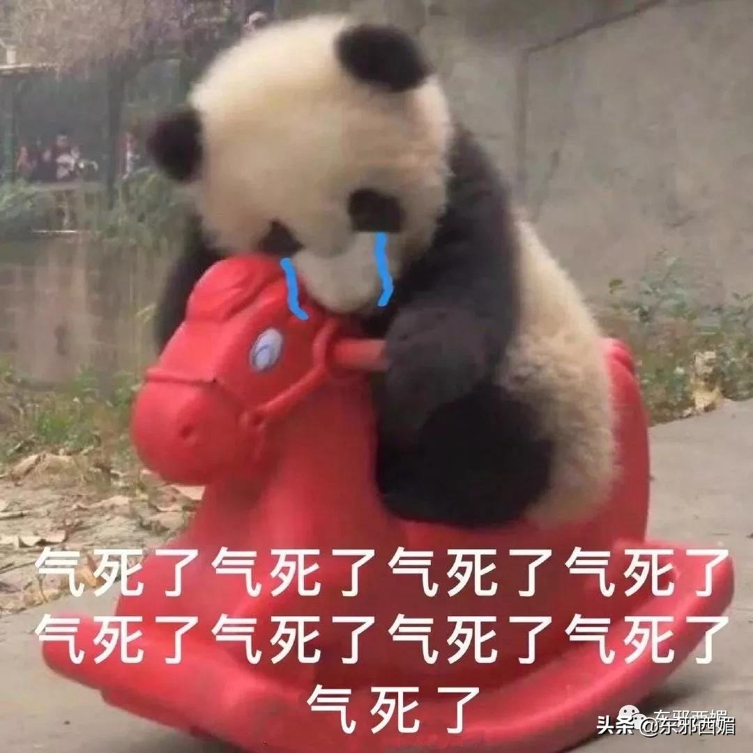 记不住她变化莫测的脸有什么关系？三层楼超豪华别墅过目难忘