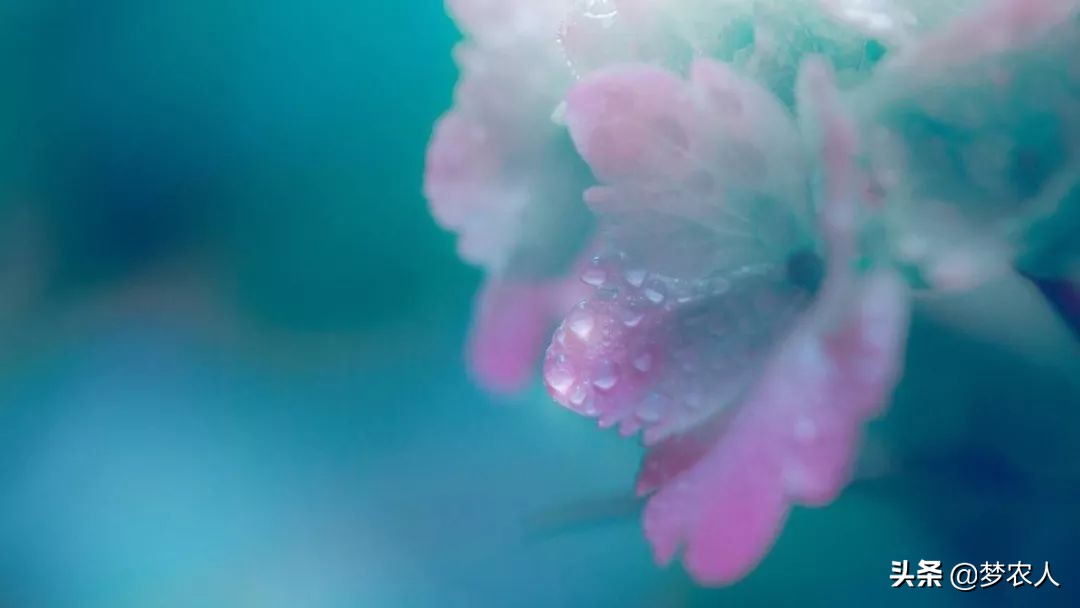 我们终此一生就要摆脱他人的期待,我们终其一生就是要摆脱别人期待