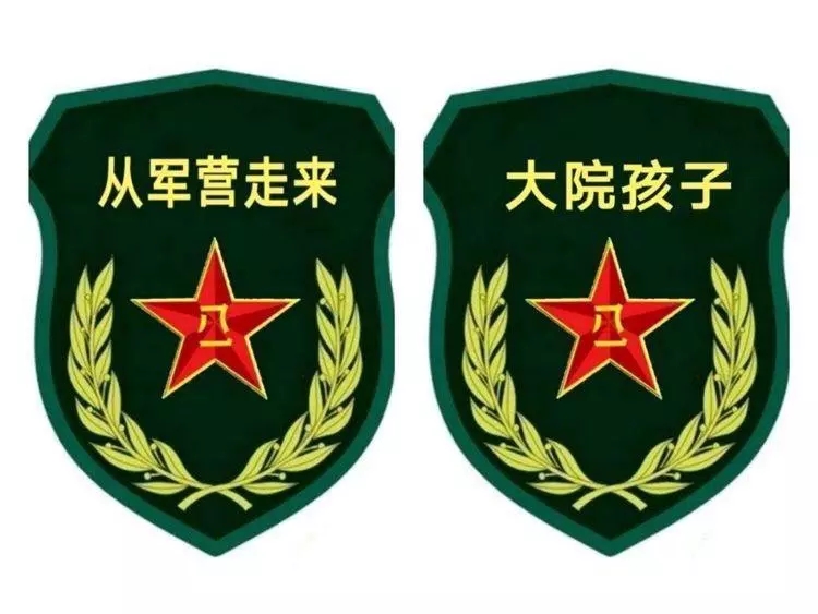 《从军营走来》组织的快闪我爱八一开全国军二代红色文化先河