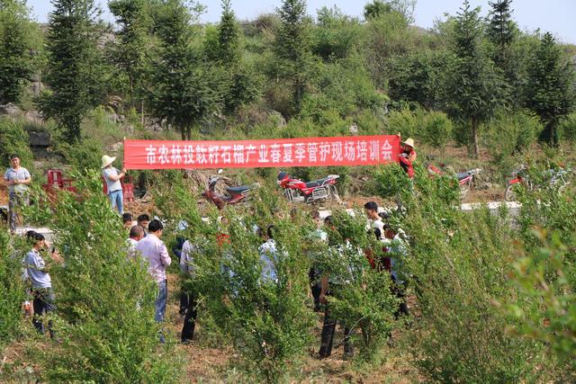 贵州省福润集团有限公司,贵州福润农资