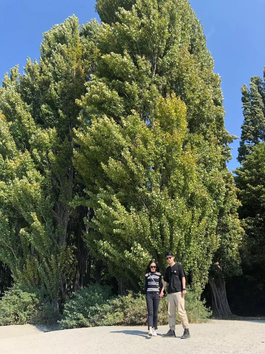 最便宜的gucci产品,世界上最便宜gucci