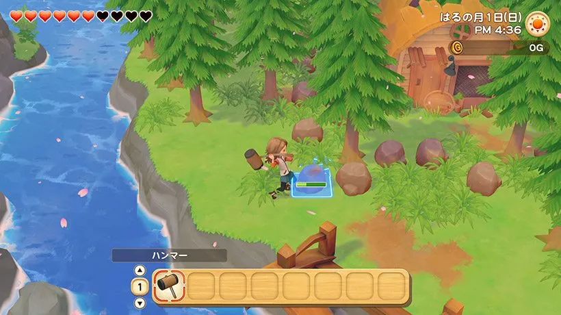 黑五打折必买的东西,黑五特价超值