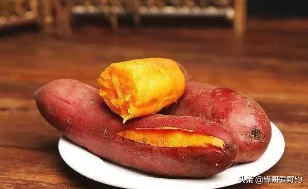 野鲤鱼爱吃什么饵料,野生鲤鱼用什么料钓最好