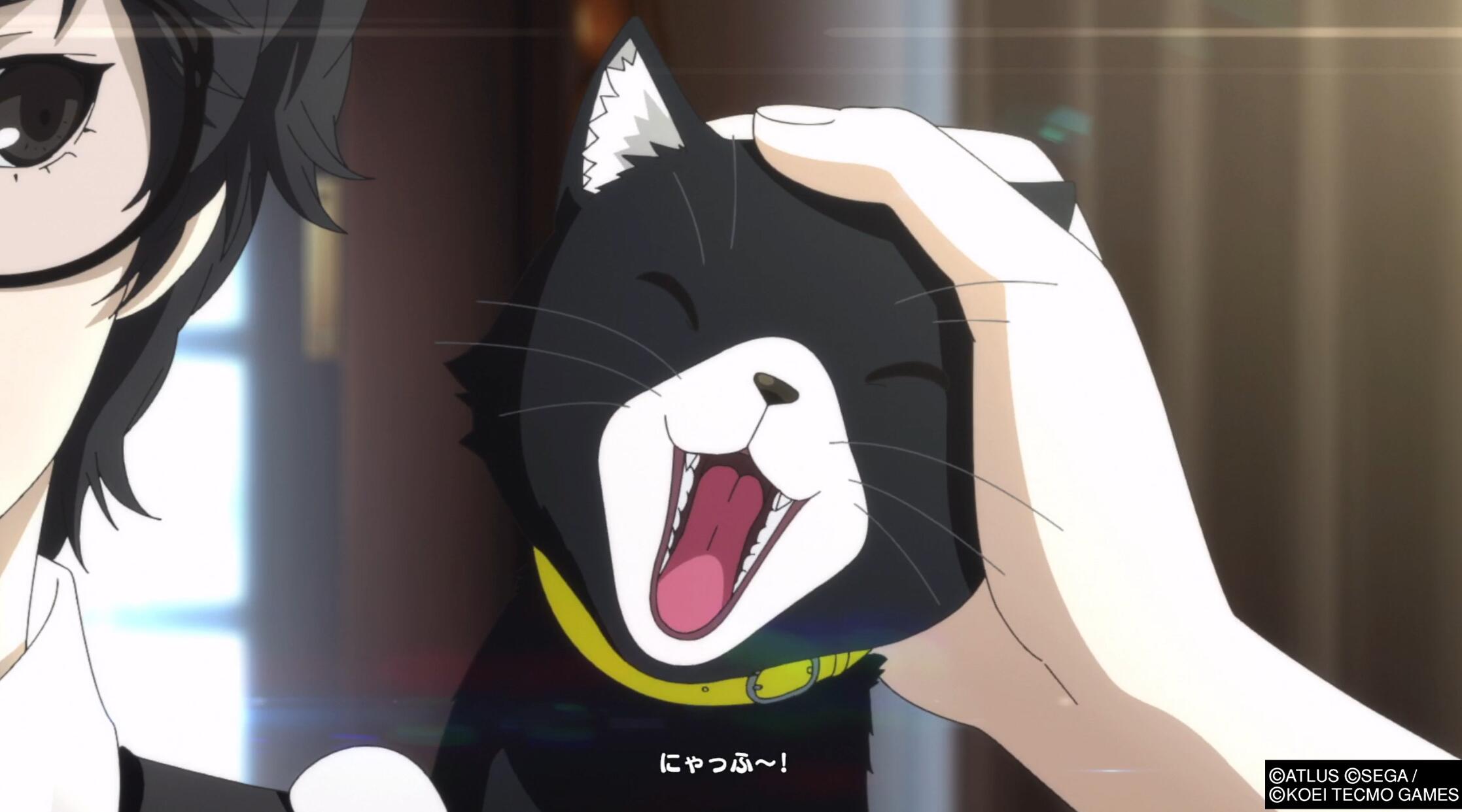 女神异闻录5玩的不流畅,女神异闻录5各个版本测评