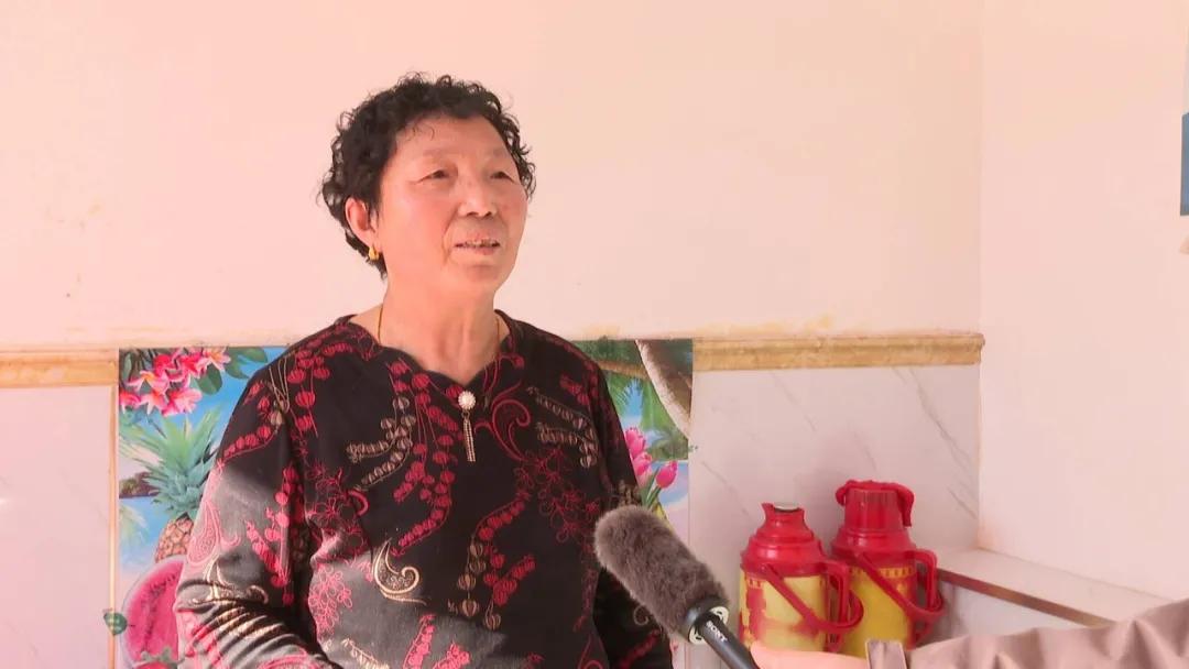 奋斗百年路启航新征程丨康平村:宜居宜业日子“甜”