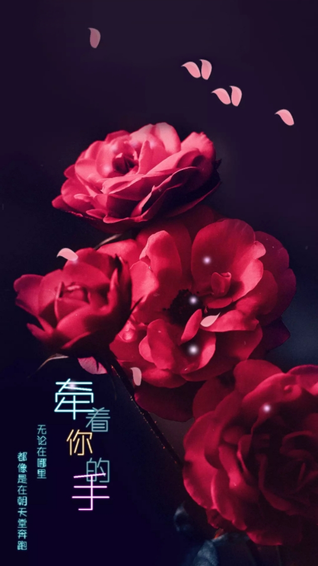 小清新花朵壁纸唯美文艺,唯美淡雅花朵风景图片壁纸