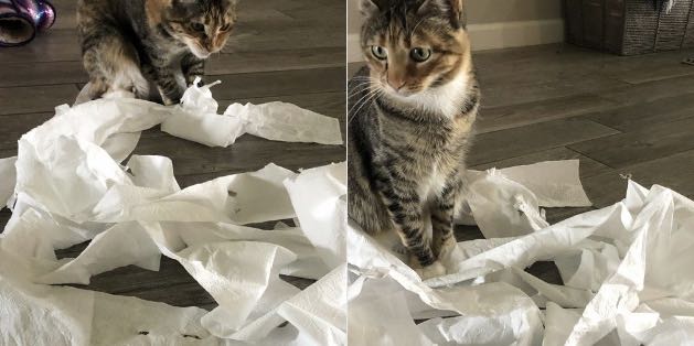 新冠病毒国外怎么防控,新冠病毒国外防控