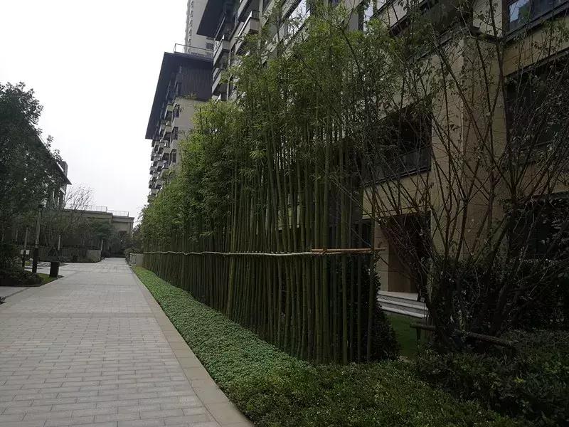 融创珑府还有地没有,融创珑府二期的优缺点