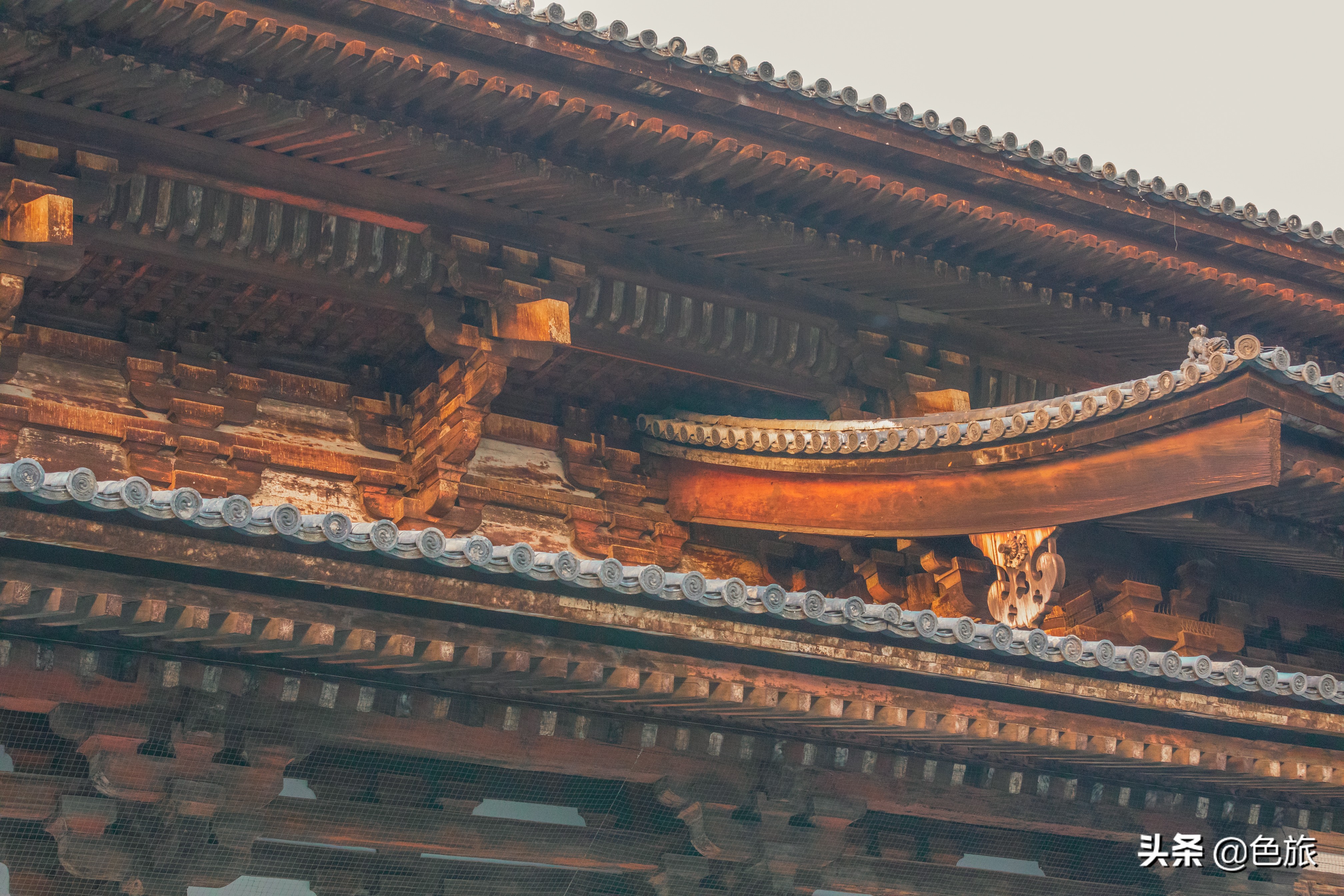 妖猫传日本访唐,妖猫传日本大师