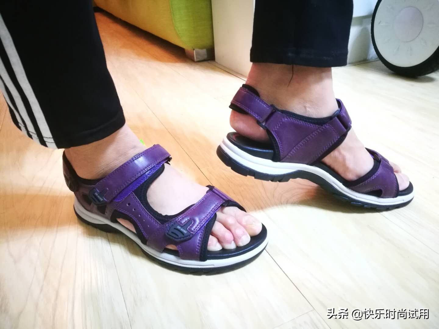 江博士女鞋成人跑步鞋,江博士秋款鞋子