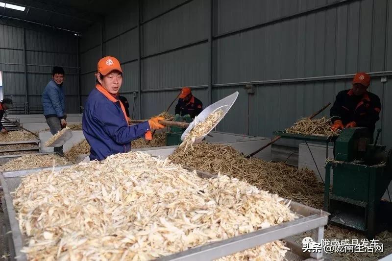 我叫成县，这是我2019年的自拍照