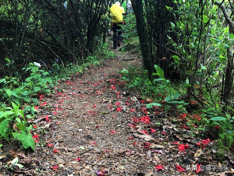 初夏游江西：历经晴、雨、雾，穿越武功山