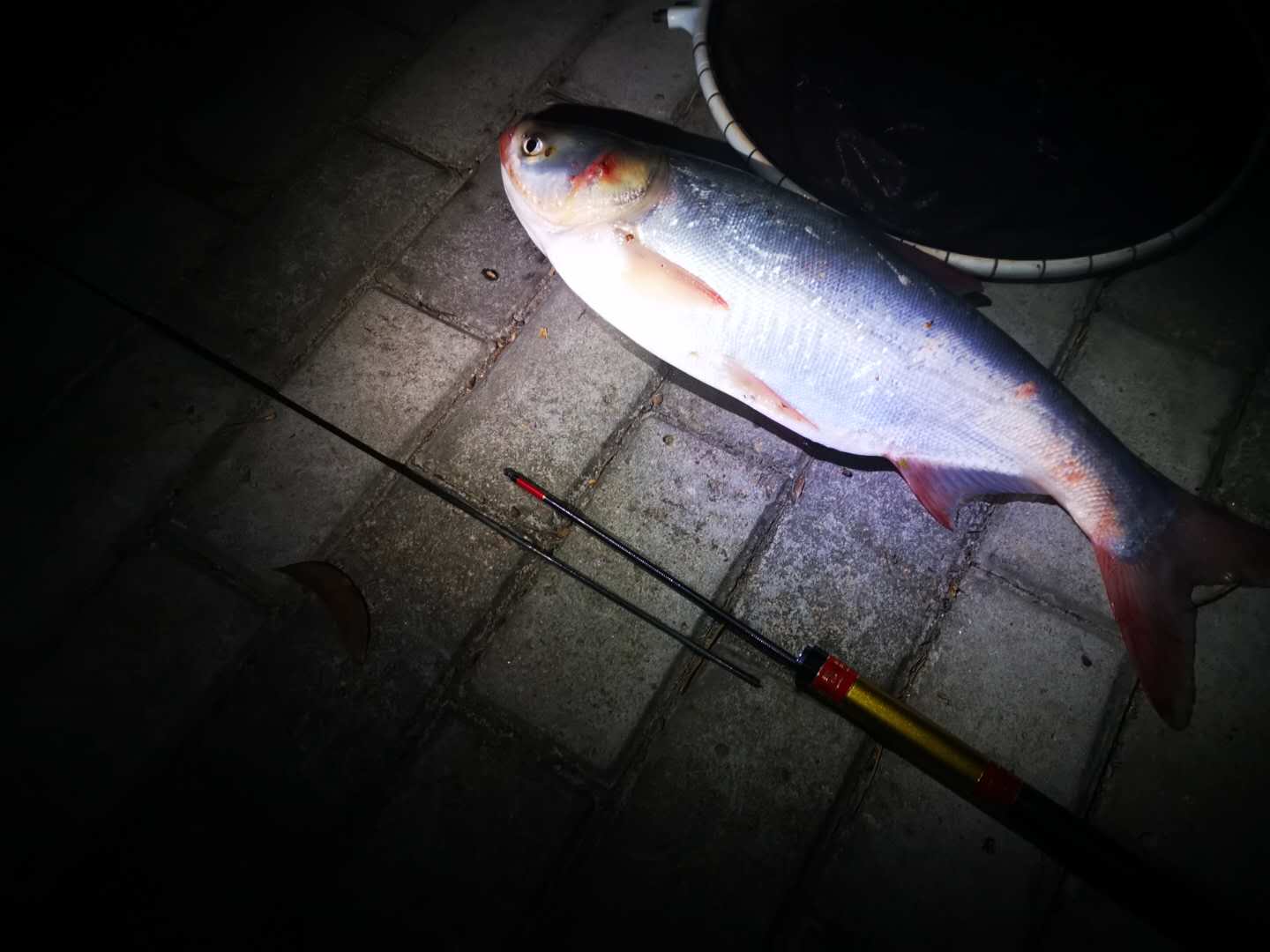 爆竿对于钓友意味着什么,新手怎么避免爆竿