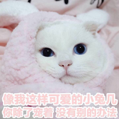 小米相册回收站误删了怎么恢复,小米怎样恢复文件管理误删的照片