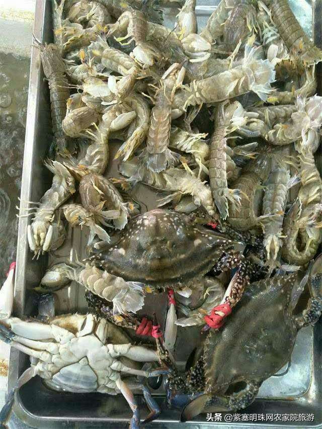 天津滨海新区吃海鲜渔村,天津滨海吃皮皮虾