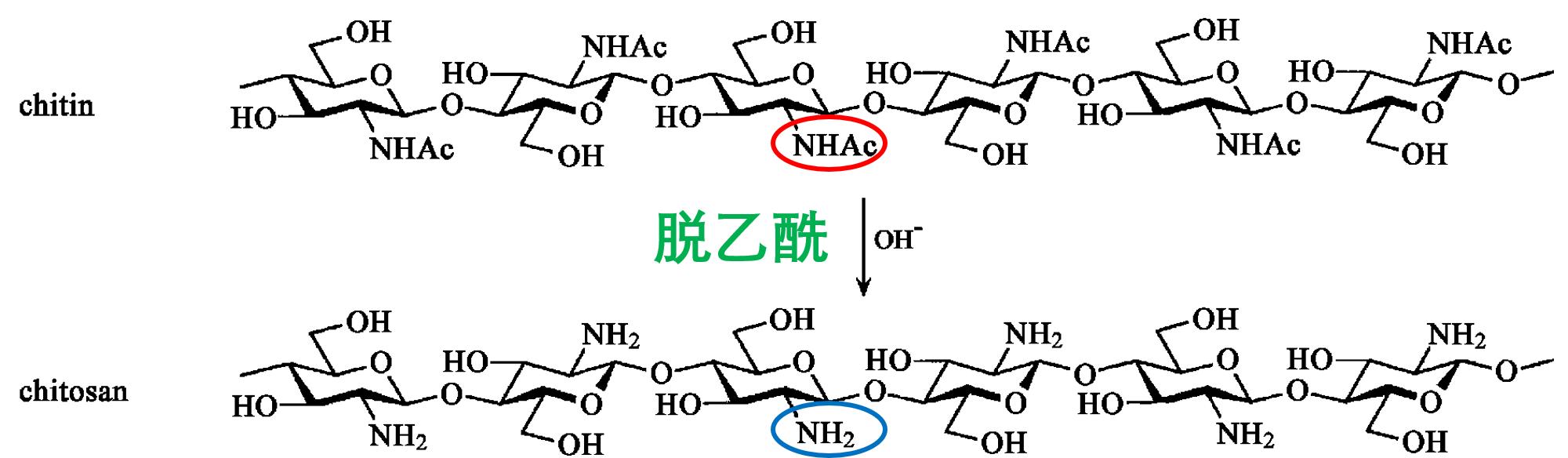 美食→生物材料|小龙虾和螃蟹→伤口敷料