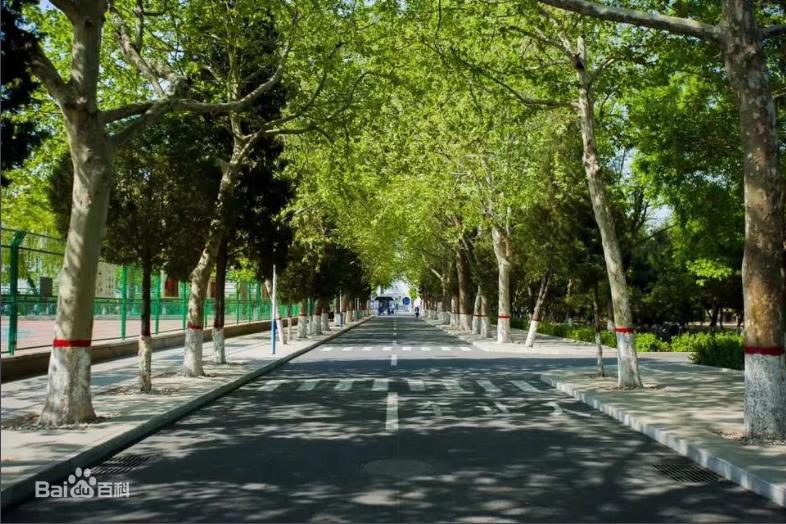 东北大学秦皇岛分校与燕山大学,东北大学秦皇岛分校属于双一流么