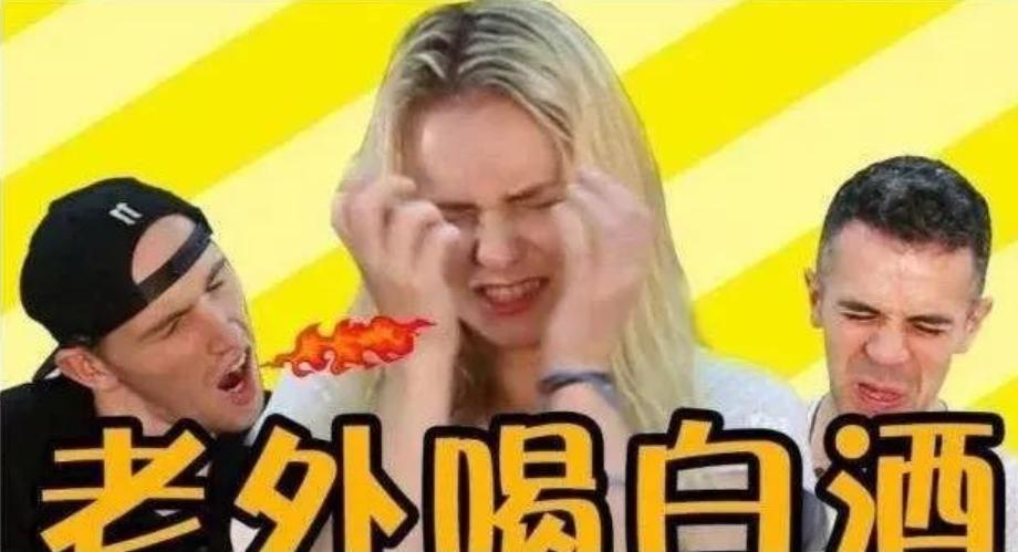 白兰地国内和国外口感,白兰地在欧洲