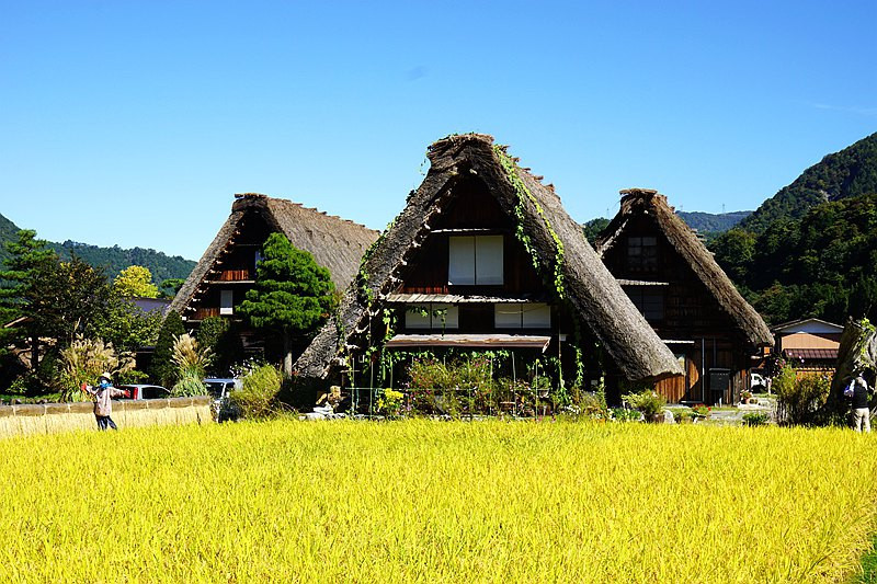 五天四夜日本邮轮游,名古屋四日自由行攻略